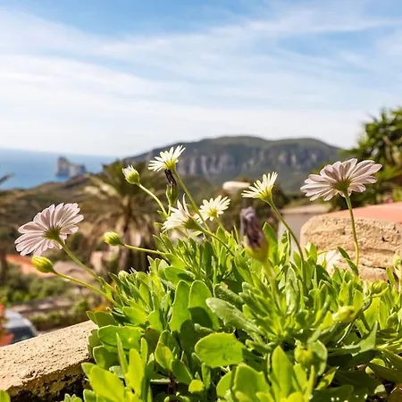 Vista Sul Pan Di Zucchero - Terrazza Vista Mare A Prázdninový dům